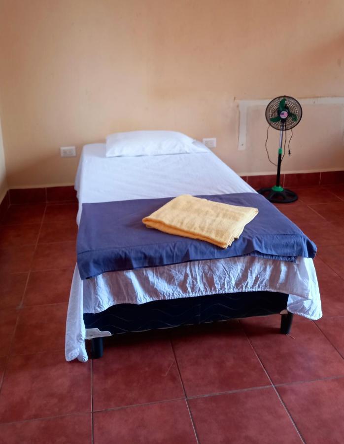 Hostal Don Gato Granada Buitenkant foto