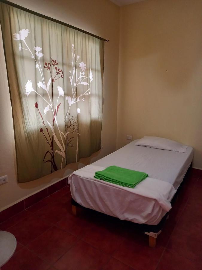 Hostal Don Gato Granada Buitenkant foto